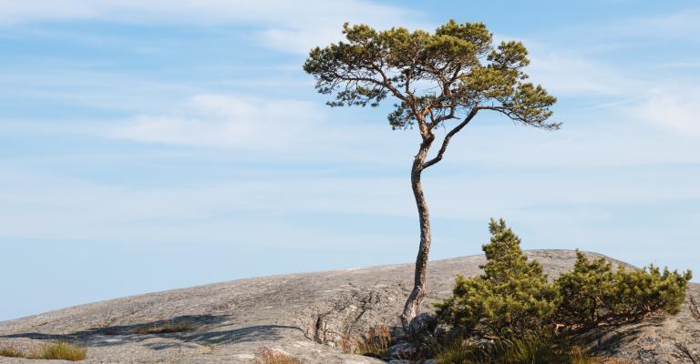 Nyheter i branschen